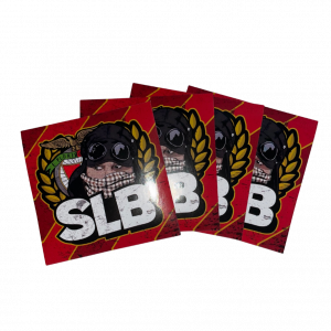 SL Benfica - Modelo 19