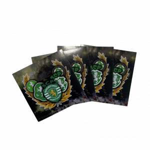 Sporting CP - Modelo 17