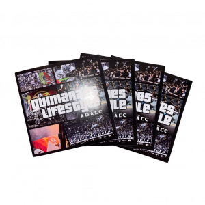 Vitória SC - Modelo 2